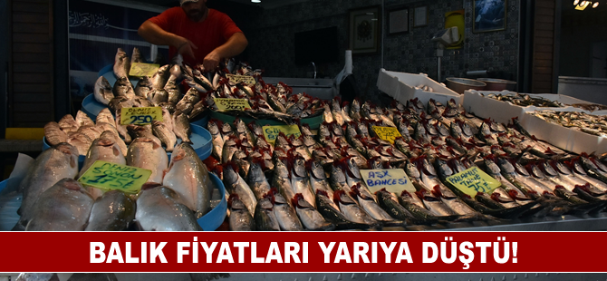 Balık fiyatları yarıya düştü!