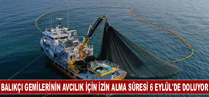 Balıkçı gemilerinin hamsi avcılığı için izin alma süresi 6 Eylül'de doluyor