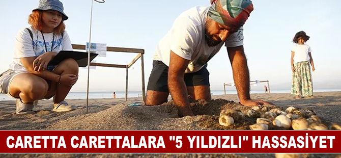 Caretta carettalara "5 yıldızlı" hassasiyet