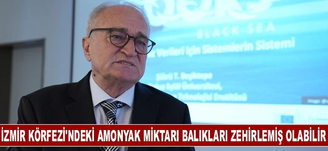 İzmir Körfezi'ndeki amonyak miktarı balıkları zehirlemiş olabilir