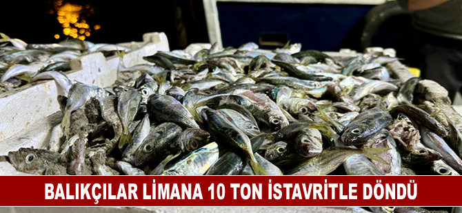 Balıkçılar limana 10 ton istavritle döndü