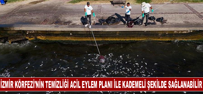 İzmir Körfezi'nin temizliği acil eylem planı ile kademeli şekilde sağlanabilir