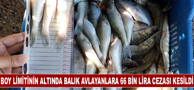 Boy limitinin altında balık avlayanlara 66 bin lira cezası kesildi