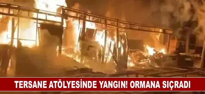 Tersane atölyesinde yangın! Ormana sıçradı