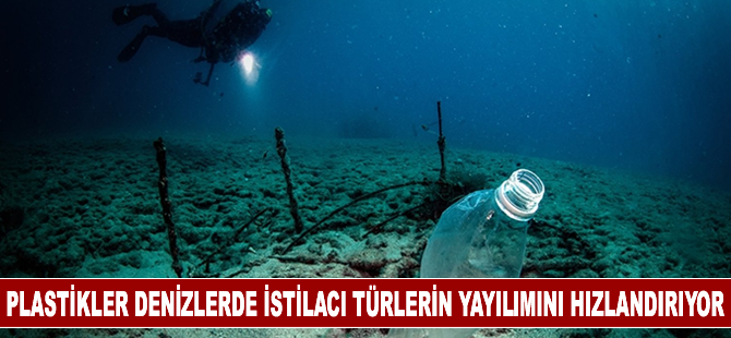 Plastikler denizlerde istilacı türlerin yayılımını hızlandırıyor