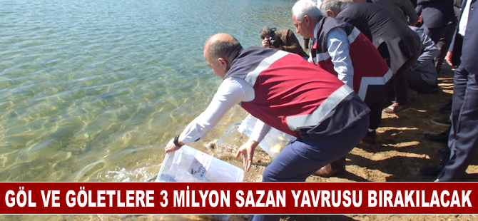 Göl ve göletlere 3 milyon sazan yavrusu bırakılacak