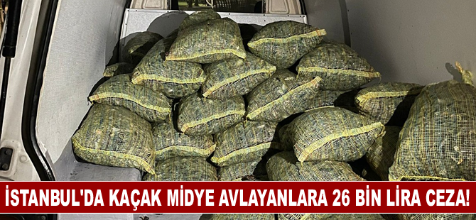 İstanbul'da kaçak midye avlayanlara 26 bin lira ceza!