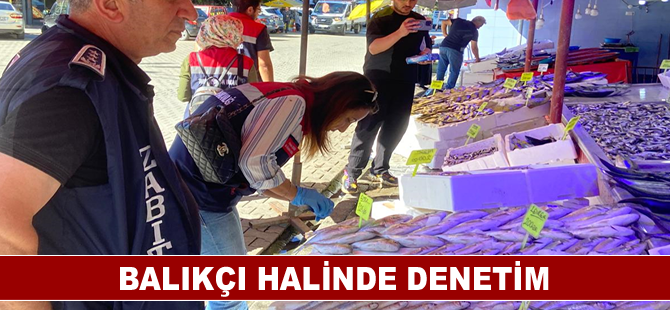 Balıkçı halinde denetim