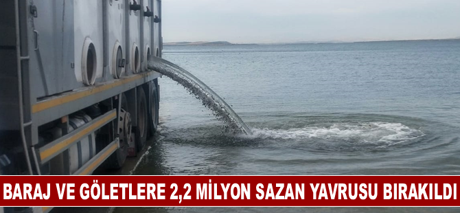 Baraj ve göletlere 2,2 milyon sazan yavrusu bırakıldı