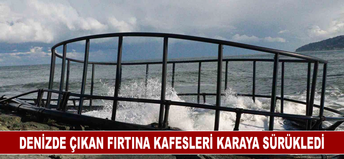 Denizde çıkan fırtına kafesleri karaya sürükledi