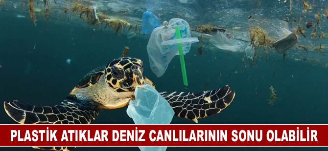 Plastik atıklar deniz canlılarının sonu olabilir