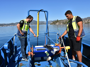 Marmaris Körfezi'nde biriken atıklar toplandı