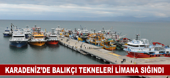 Rüzgar nedeniyle balıkçı tekneleri Sinop Limanı'na sığındı