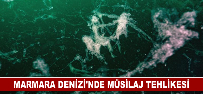 Marmara Denizi’nde müsilaj tehlikesi