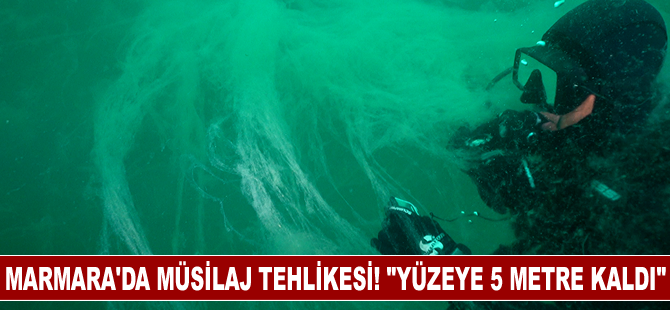 Marmara'da müsilaj tehlikesi! "Yüzeye 5 metre kaldı"