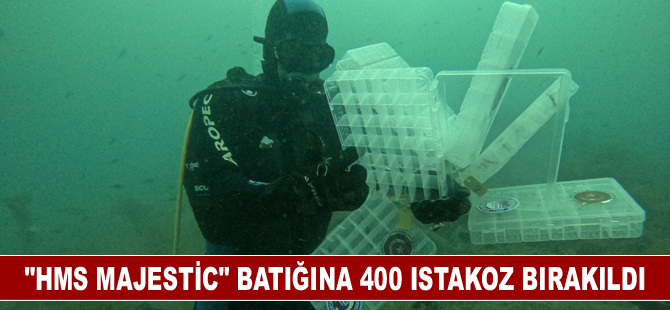 "HMS Majestic" batığına 400 ıstakoz bırakıldı