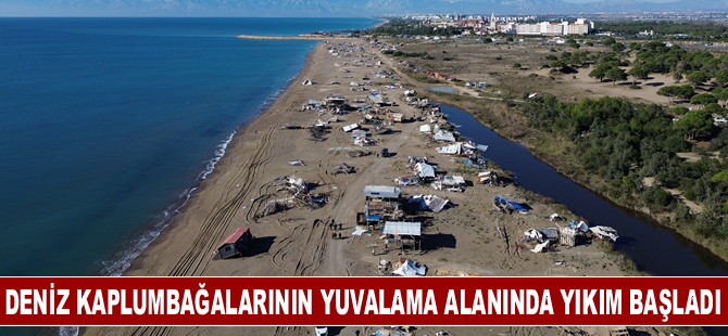 Deniz kaplumbağalarının yuvalama alanında yıkım başladı