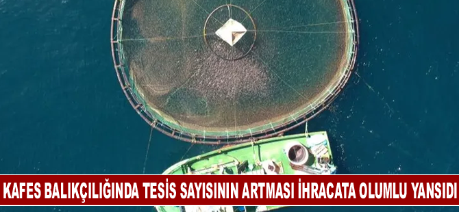 Kafes balıkçılığında tesis sayısının artması ihracata olumlu yansıdı