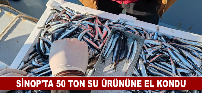 Sinop'ta 50 ton su ürününe el kondu