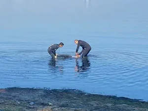 Kocaeli'de denizde erkek cesedi bulundu