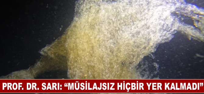 Prof. Dr. Sarı: “Müsilajsız hiçbir yer kalmadı”