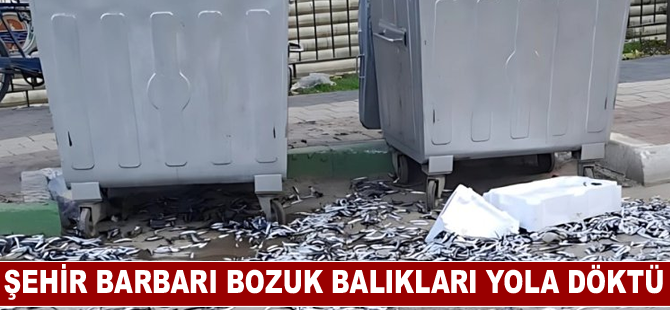 Şehir barbarı bozuk balıkları yola döktü