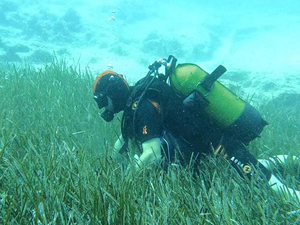 Mavi Nefes projesiyle deniz ekosisteminin korunması çalışmaları sürüyor