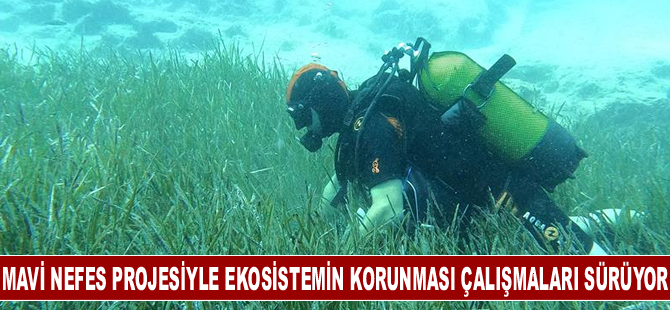 Mavi Nefes projesiyle deniz ekosisteminin korunması çalışmaları sürüyor