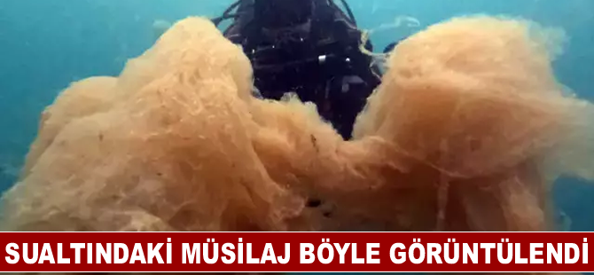 Sualtındaki müsilaj böyle görüntülendi