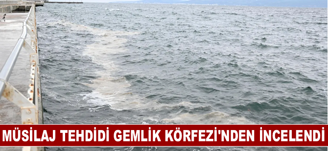 Müsilaj tehdidi Gemlik Körfezi'nden incelendi