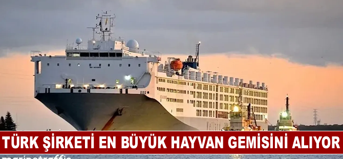 Türk Şirketi En Büyük Hayvan Gemisini Alıyor