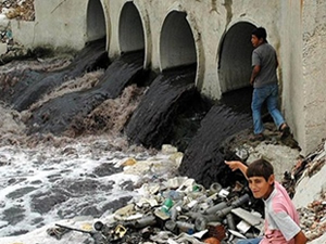 Ergene Nehri'nin kirliliği Marmara Denizi'ni bitirir