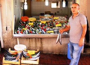 Bartın'da balıklar tezgahtaki yerini aldı