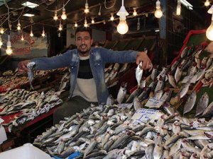 Kocaeli'de çinekop bereketi yaşanıyor