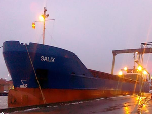 Genel kargo gemisi M/V Salix, Hollanda'da karaya oturdu