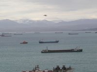 Dalgalardan kaçan gemiler, Sinop'un doğal limanına sığındı