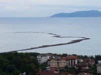 Ordu'yu sel vurdu, denizde fındık adası oluştu