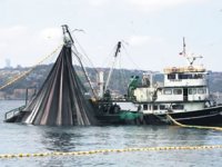 Kıyı balıkçılarının '24 metre' talebi