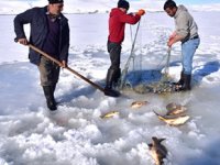 Ahlatlılar, Nazik Gölü’nde Eskimo usulü balık avlıyorlar