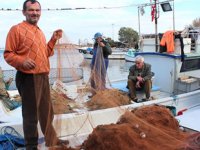 Yalovalı balıkçılar, yunuslardan dert yanıyor