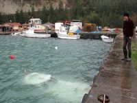 Kastamonu'da fırtına balıkçı barınağındaki tekneyi batırdı