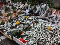 Karadeniz soğudu, balık tezgahları çeşitlendi