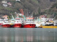 Karadeniz'de yurt dışından dönen balıkçılar koronavirüs tedbirleri nedeniyle karantina altına alındı