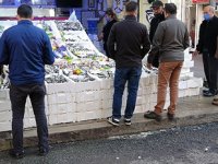 Ordu'da balıkçı tezgahları şenlendi, vatandaşlar balık sırasına girdi