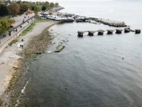 Kadıköy'de deniz çekildi, tedirginlik yaşandı