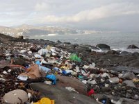 Karadeniz'de dalgalar denize atılan çöpleri sahile çıkarttı