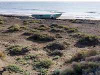 Tenerife Adası’nda 4 göçmen teknede ölü bulundu