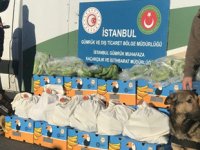 Ambarlı Limanı'nda muz yüklü gemide 88 kilogram kokain ele geçirildi