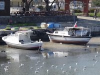 Sarıçay'da sular çekildi, tekneler karaya oturdu