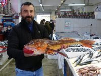 Kırlangıç balığı, balık av sezonunun sonlarına doğru ortaya çıktı